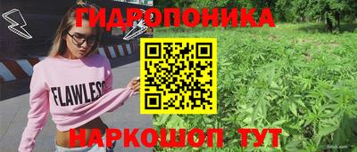 молекула духа Можга