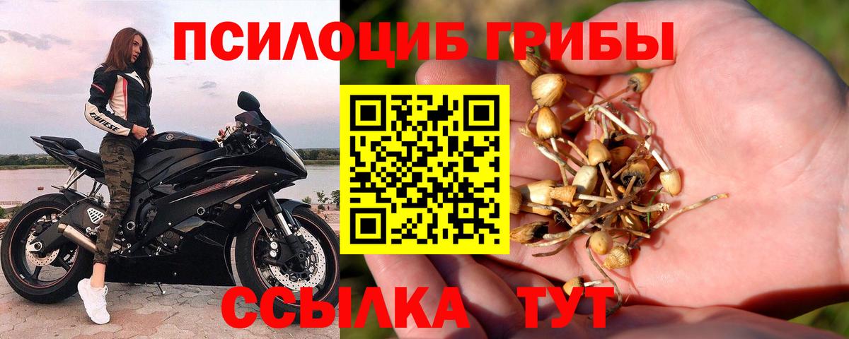 Псилоцибиновые грибы Magic Shrooms  Галлюциногенные грибы MAGIC MUSHROOMS  Пыть-Ях  Вход с VPN 