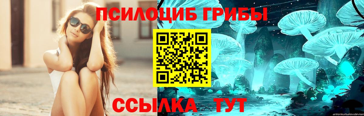 Псилоцибиновые грибы Magic Shrooms Пыть-Ях